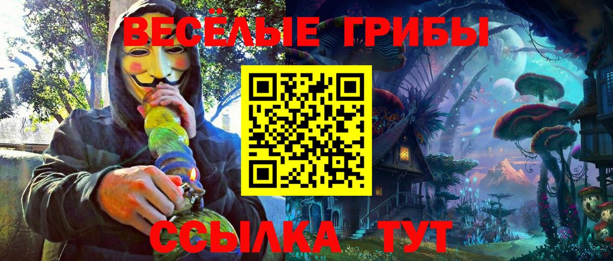 Баксан  Галлюциногенные грибы Magic Shrooms  Вход с VPN 